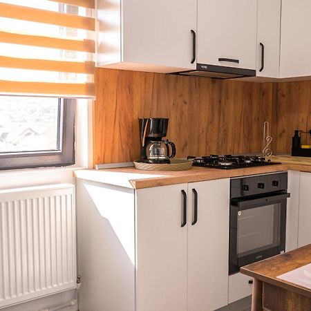 Apartament Nina House Târgu Jiu Pokój zdjęcie
