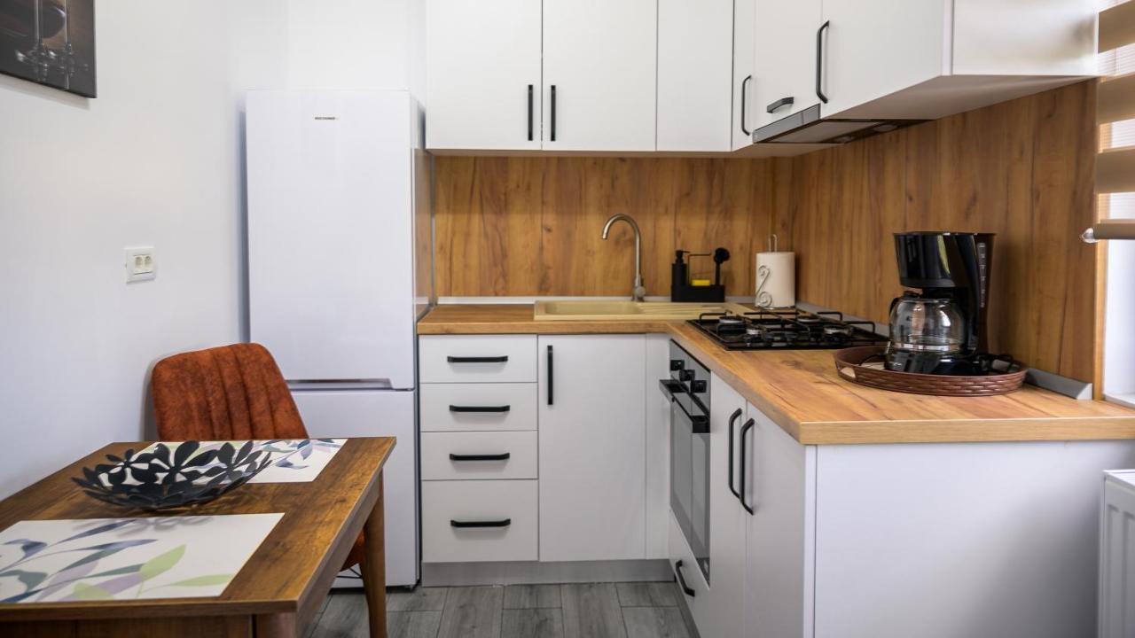 Apartament Nina House Târgu Jiu Zewnętrze zdjęcie