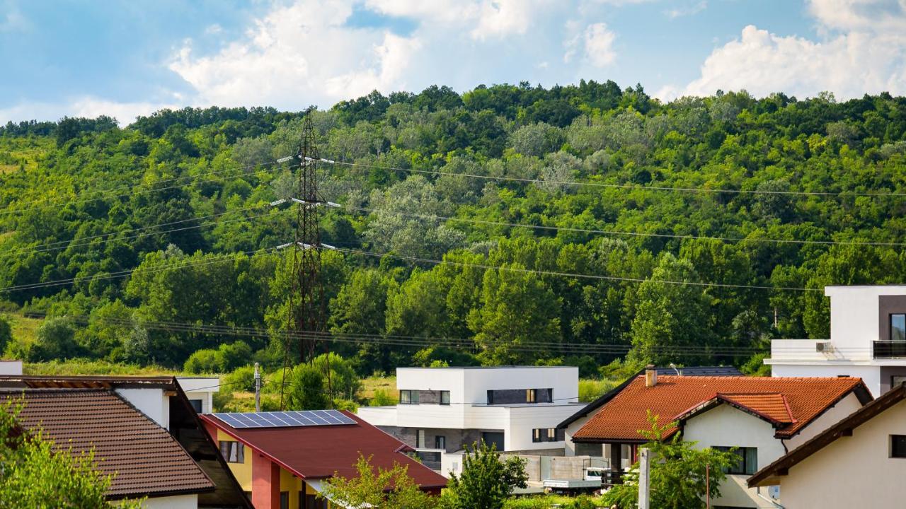 Apartament Nina House Târgu Jiu Zewnętrze zdjęcie