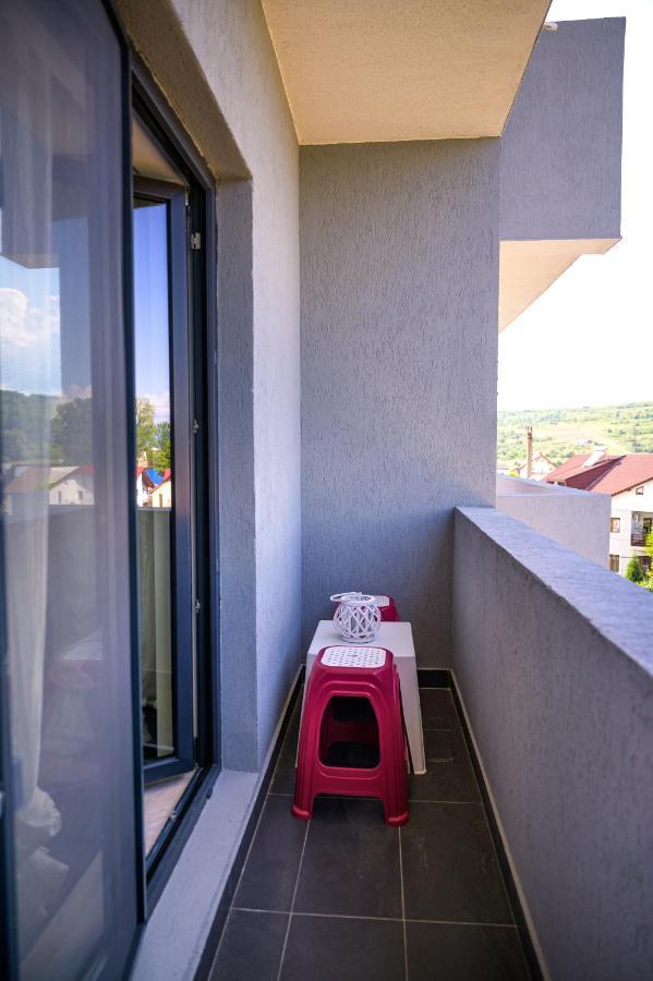 Apartament Nina House Târgu Jiu Zewnętrze zdjęcie